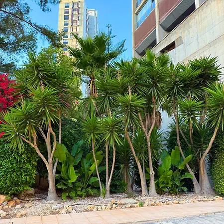 Beautiful Near With Panoramic Sea-view Apartment *